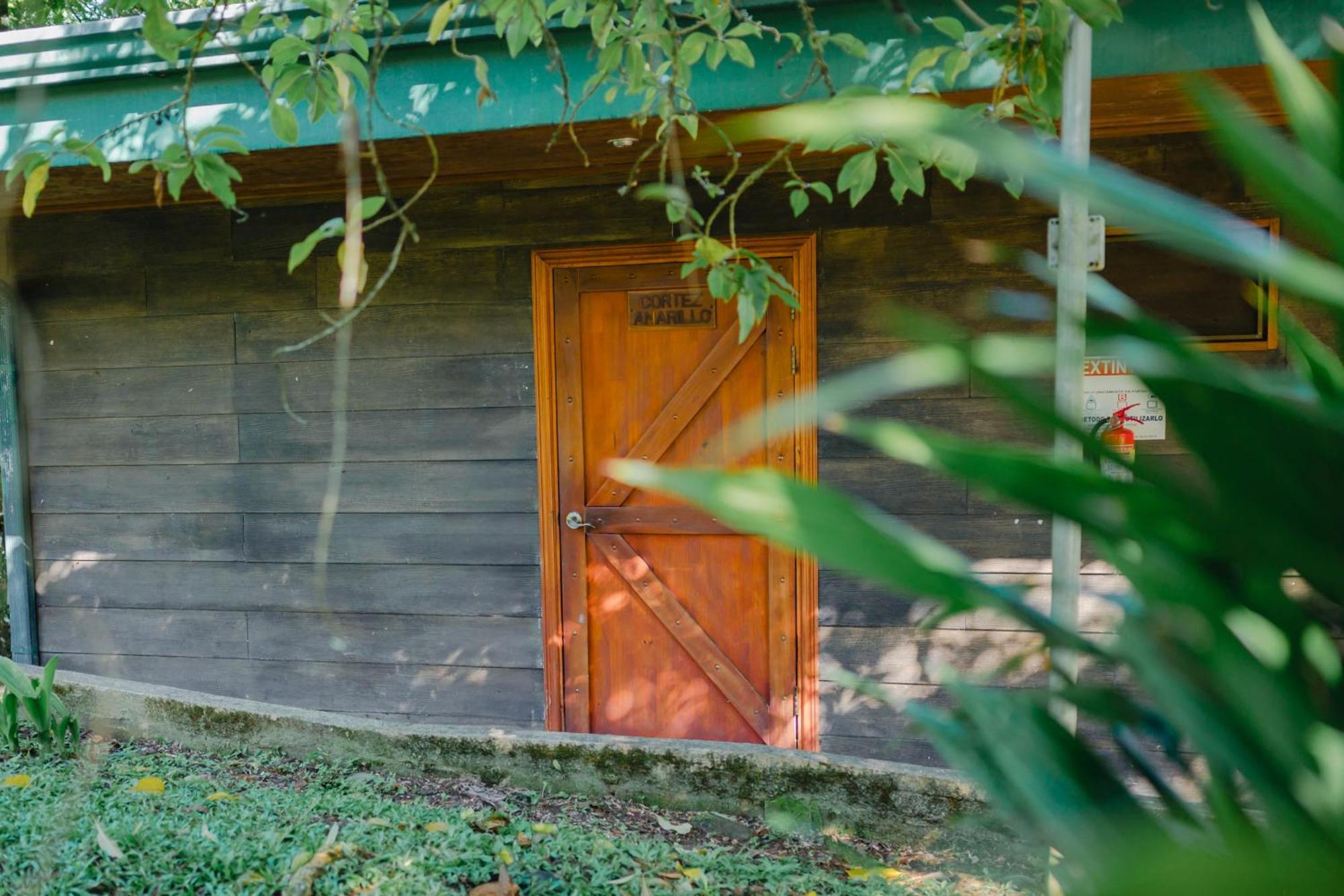 Avita Lodge Quesada  Exteriör bild